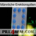 Männliche Erektionspillen 21